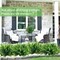 summer flower 10 Pack Artificial Boxwood Stems for Outdoors, Unfading in The Sun Plastic Faux Plants,Fake Foliage Shrubs Greenery for Garden,Office,Patio,Wedding,Farmhouse Indoor Decoration